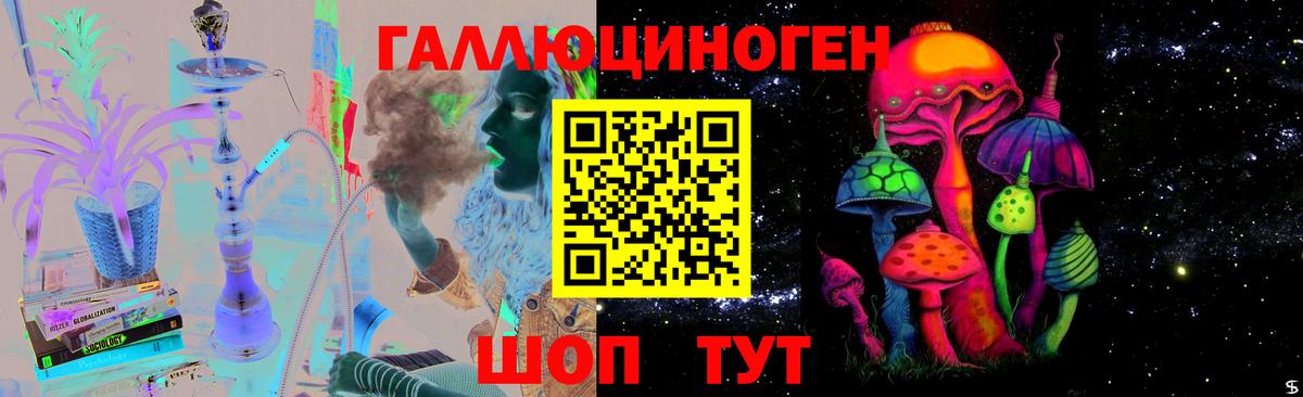 Псилоцибиновые грибы Psilocybe  Вход с VPN  Королёв 